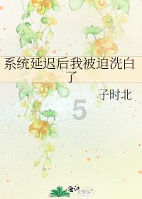 超三国无双2
