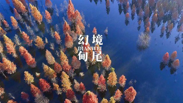 万词王