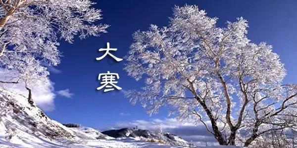 小猫钓鱼游戏龙王版有船