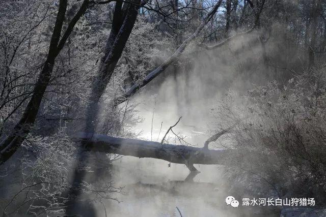 夫妻感情不好可以不办结婚证吗？