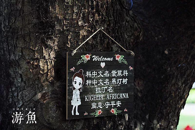 专注明明网络没问题游戏延迟高知识星球,深度解读明明网络没问题游戏延迟高的最佳平台