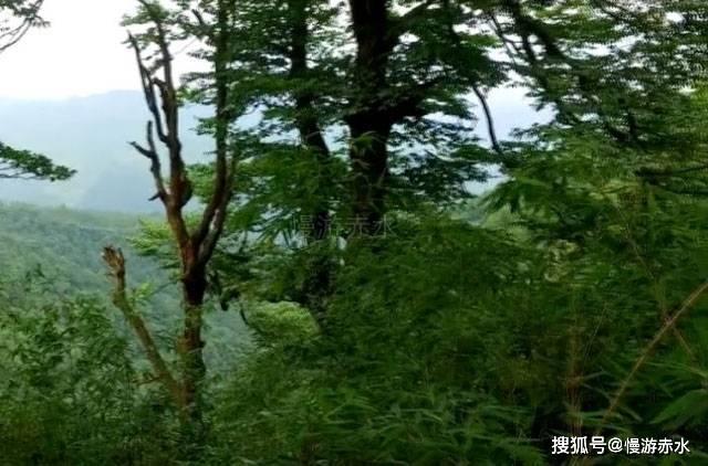 首惠产业金融(00730)：乔雨菲辞任非执行董事