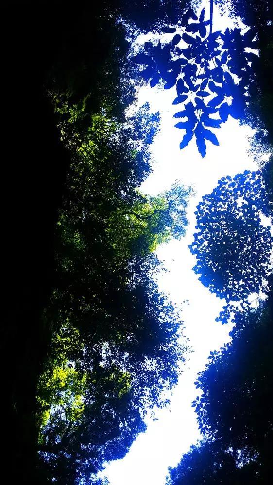 逃出上锁的现代房间7