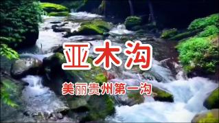 沙滩度假