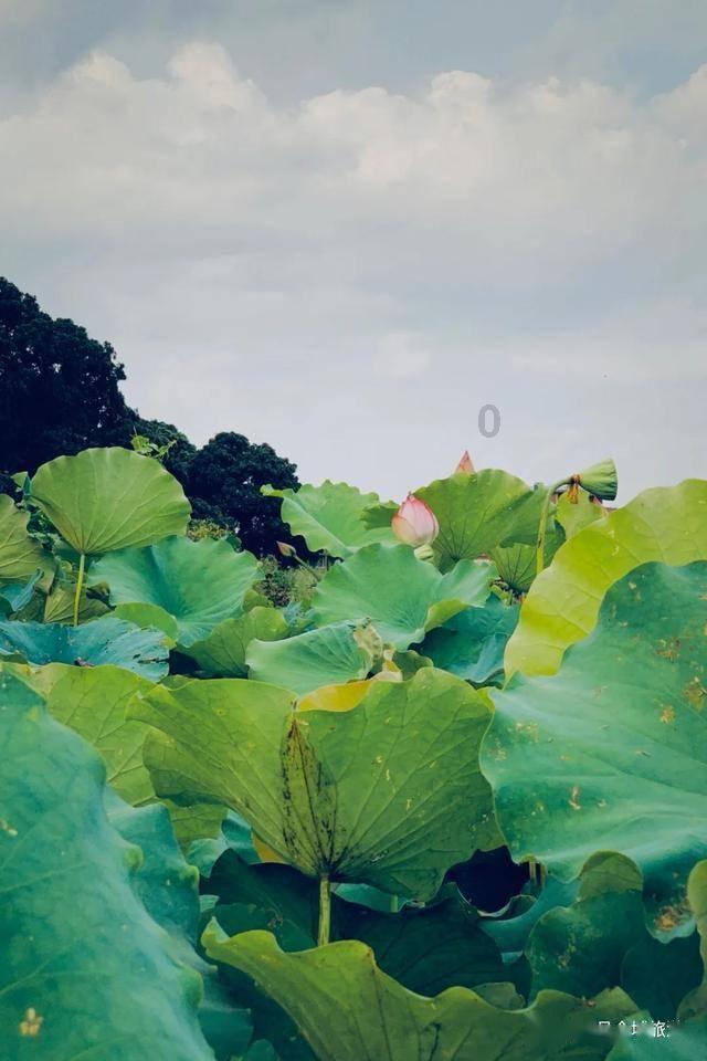 探索知识星球平台 |