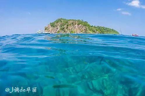 妙鸭相机app下载官网