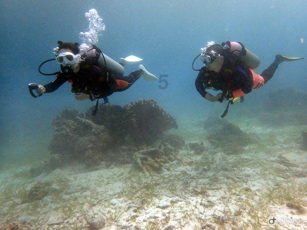 流感疫苗可以同时预防甲流乙流