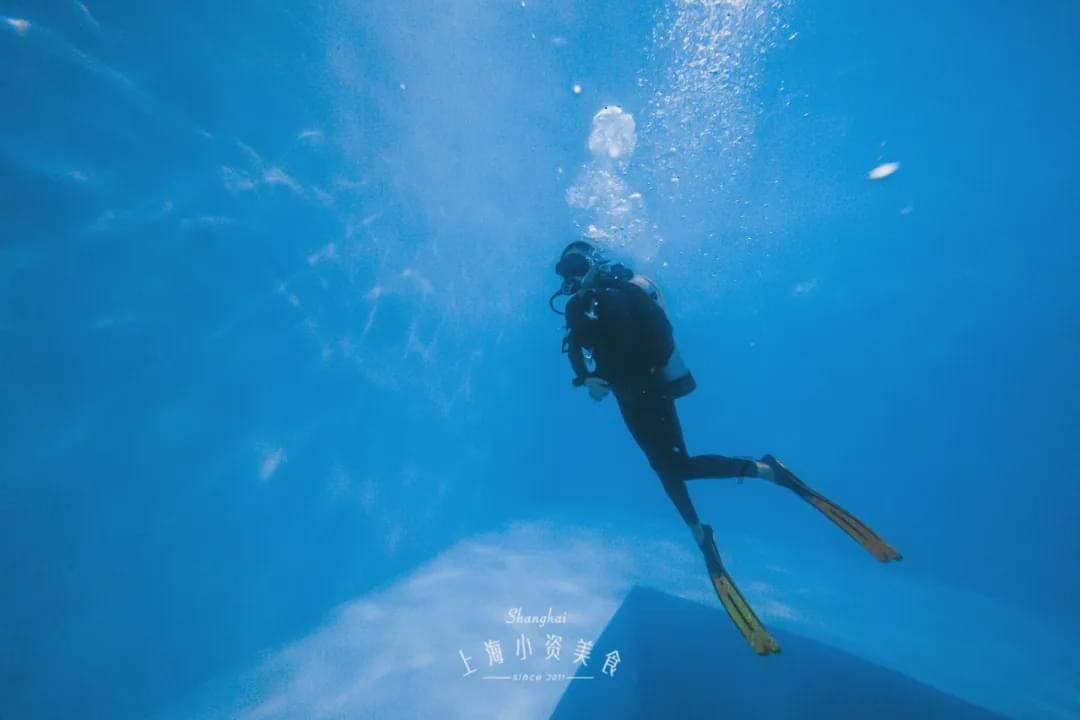 巧虎足球传送门