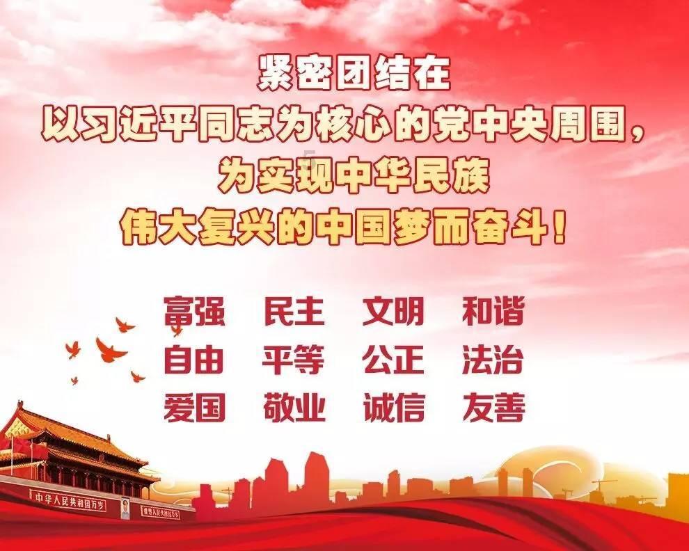 救援呆萌的猫