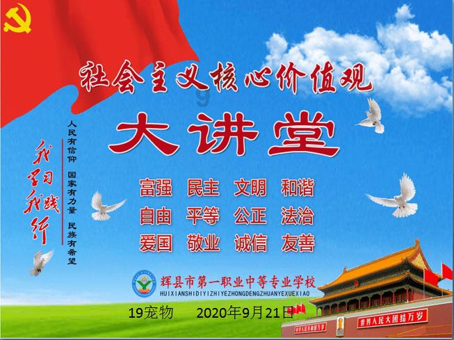 忍者鲨鱼