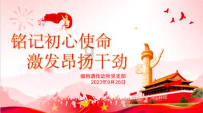 蛋糕的制作方法和步骤？游戏画面