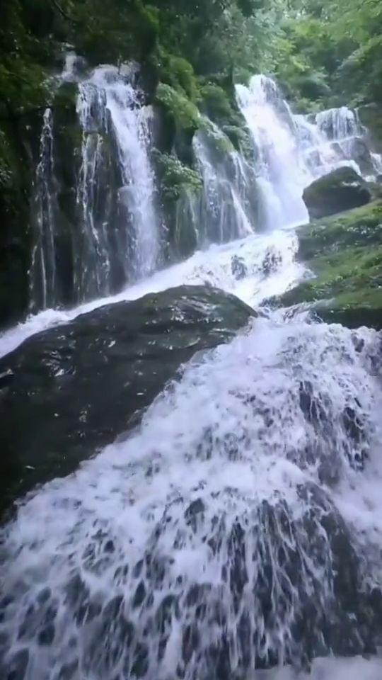 【达日政务】绘就乡村新图景 拓宽牧民致富路