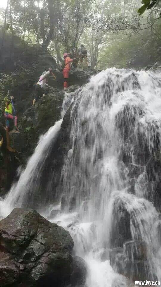 加沙城一救援物资领取地点人群遭以军袭击，至少20人死亡
