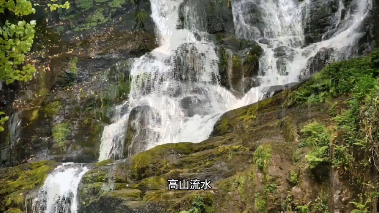 救援白虎