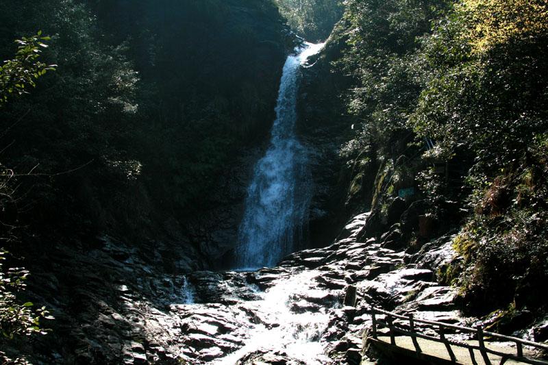 泡泡袖夏装