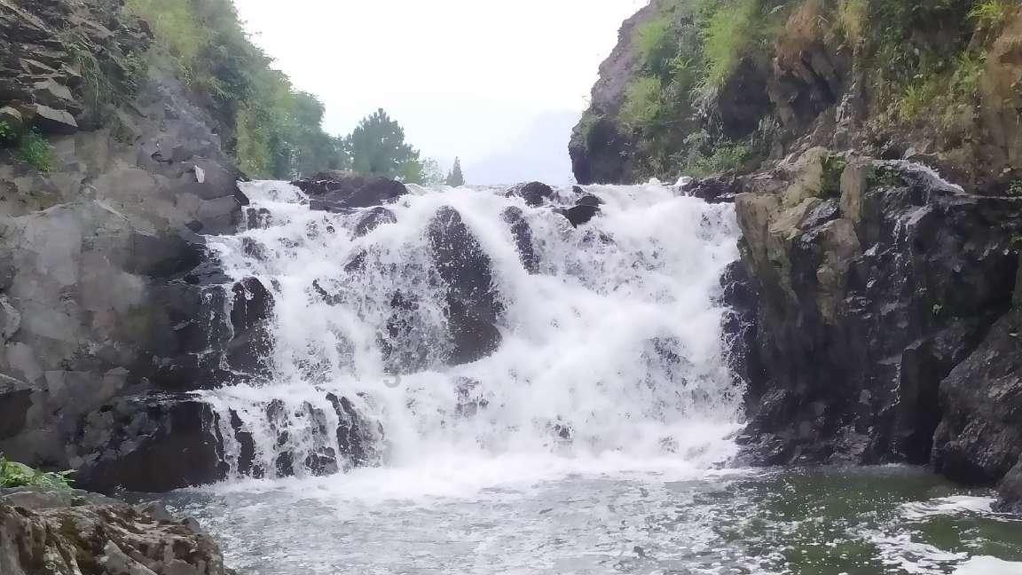 美人鱼游玩