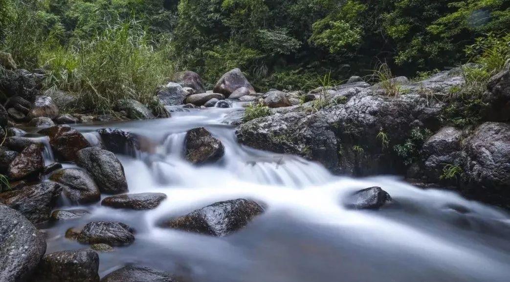 生长在“华夏东极”的蔓越莓，种子竟然是“天选”的！