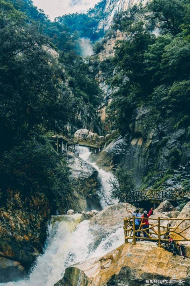 健康养生绿色补品,正宗温县垆土铁棍山药:送给父母长辈,传递关爱与健康