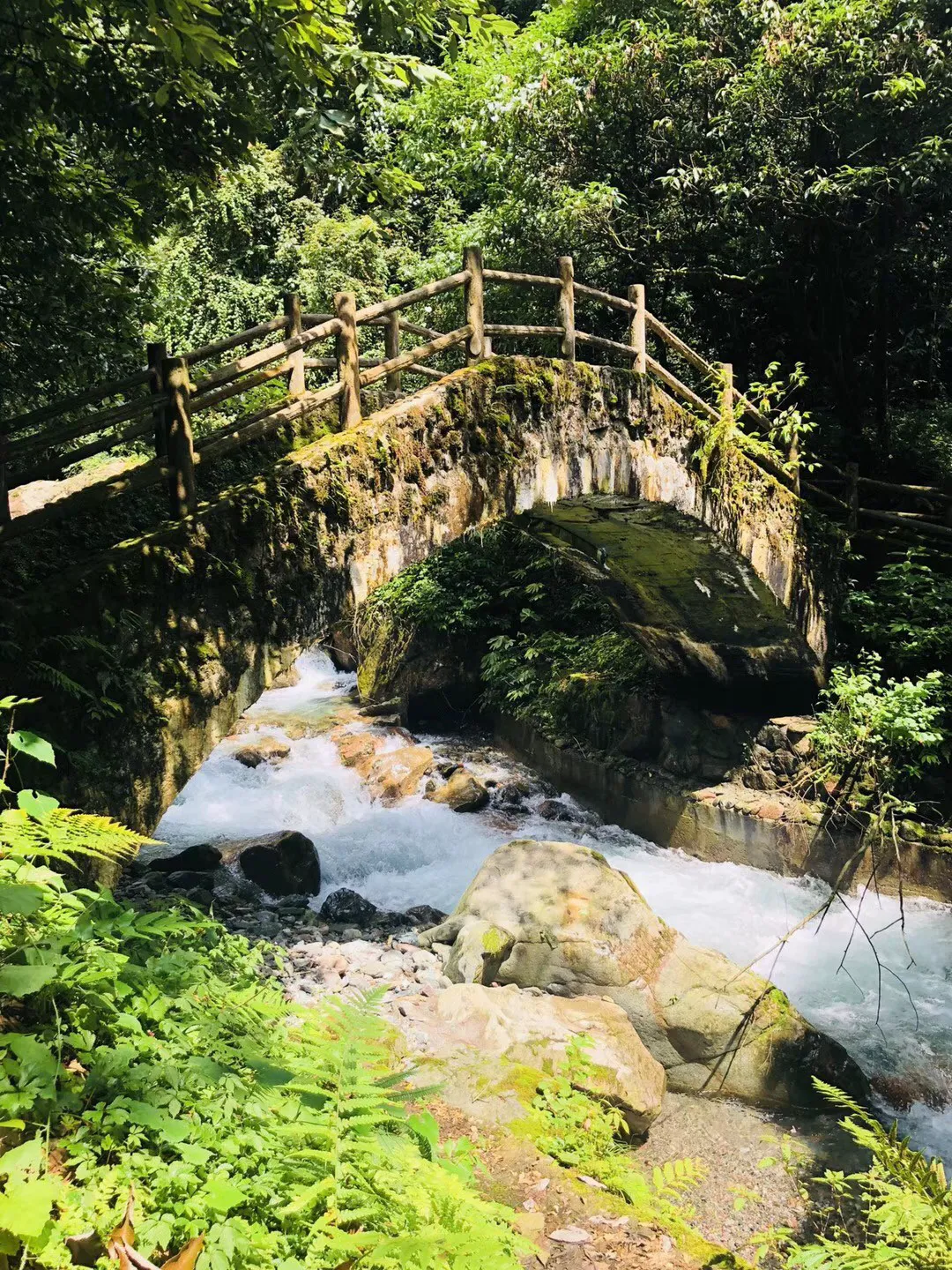 老山羊救援
