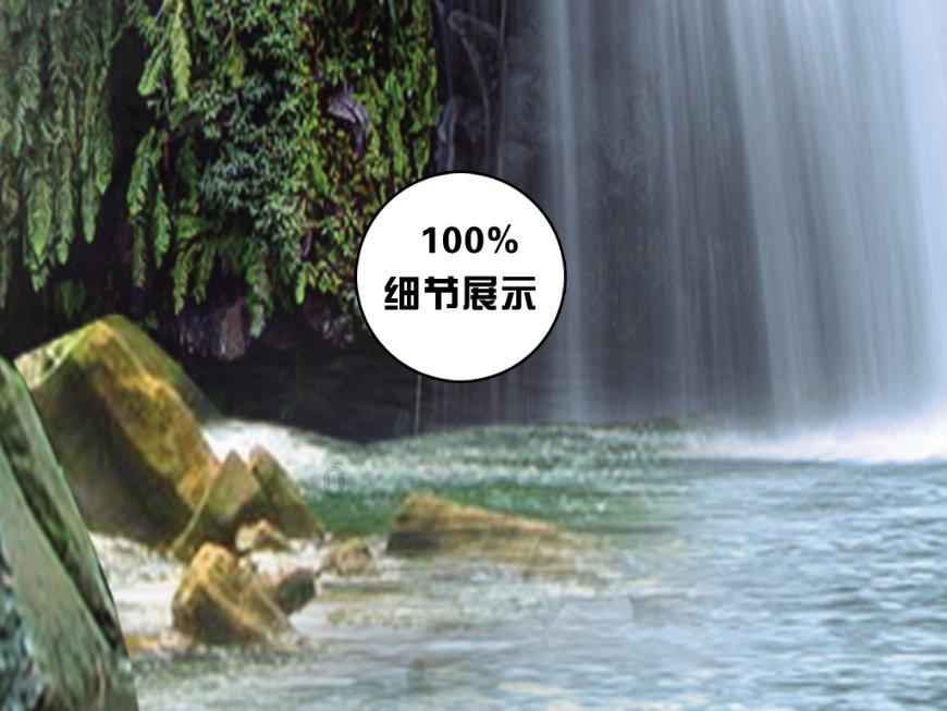 救援小袋熊