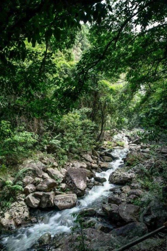 笑脸球的冒险之旅