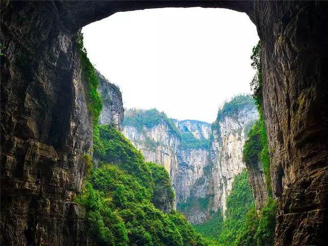 县委书记胃痛发作,用手顶住腹部坚持工作,通信员给他买来饼干,他却大发脾气