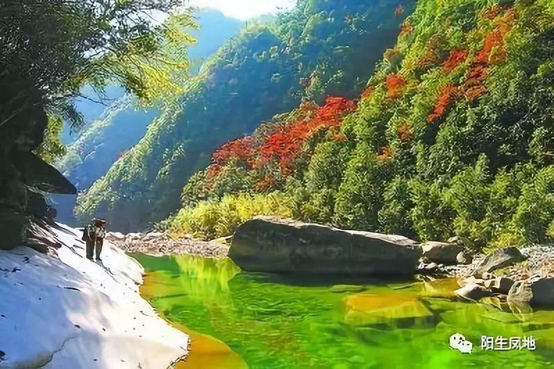 墨西哥首都恢复斗牛活动 遭反对者强烈抗议