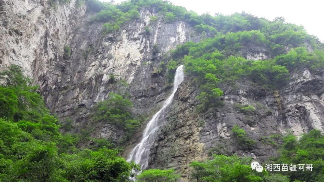 逃离马儿森林