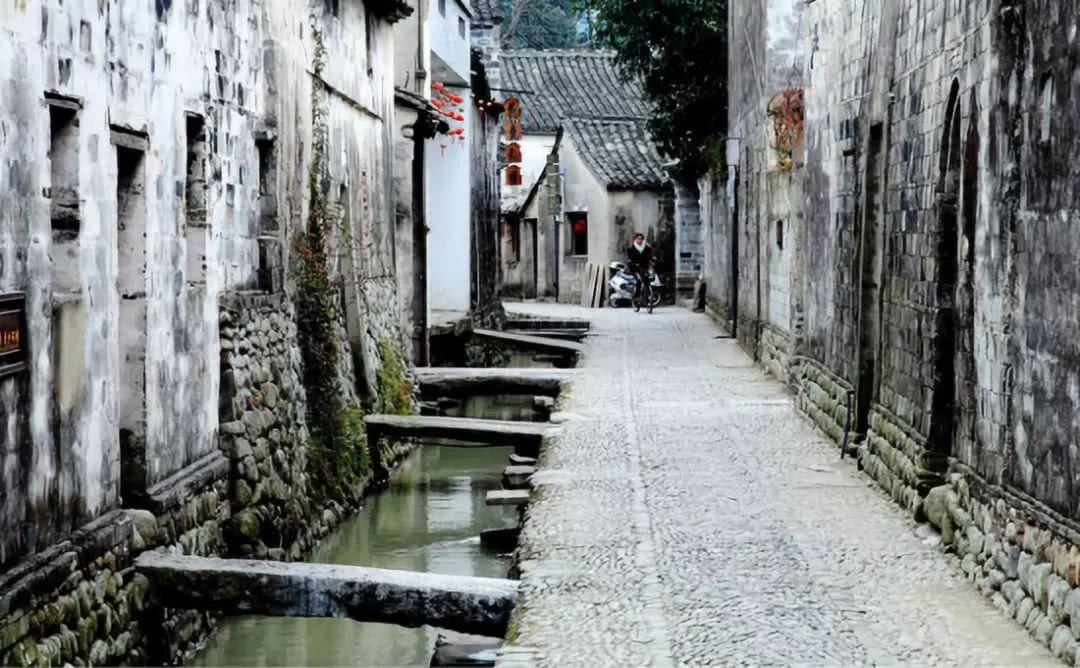 春雨直播app