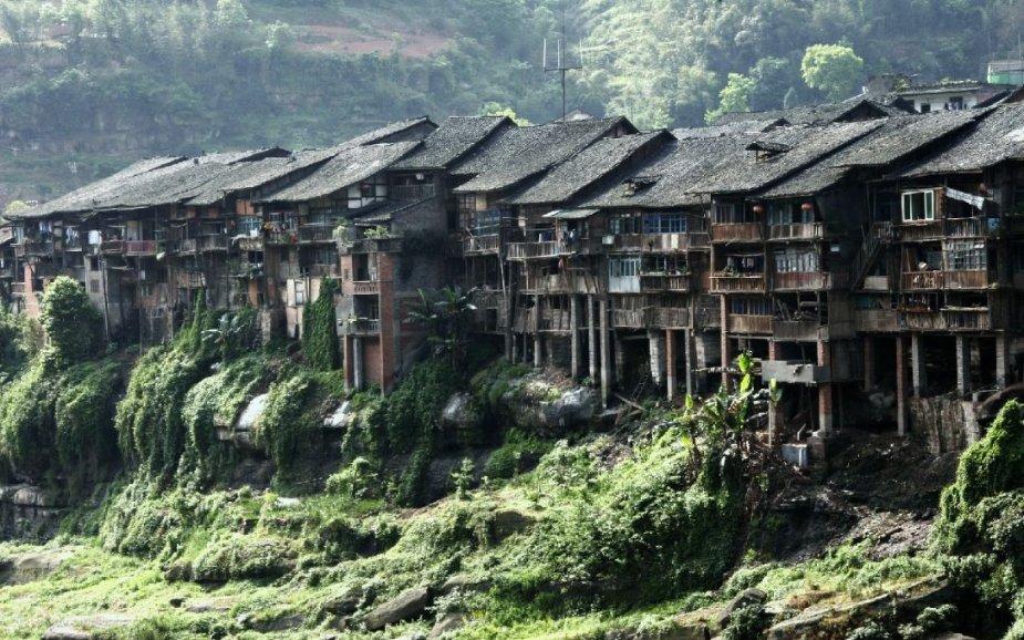 全网最佳问答网站-现在还能交2023年农村合作医疗保险吗?专家在线为您解答问题