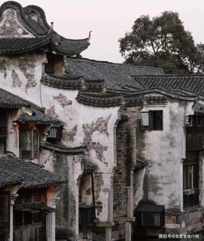 古墓丽影崛起